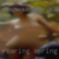 Roaring Spring swingers