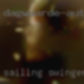 Sailing swingers